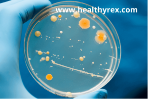 Microbial growth in water