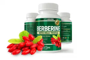 Berberine Supplement Insulin Herb Review