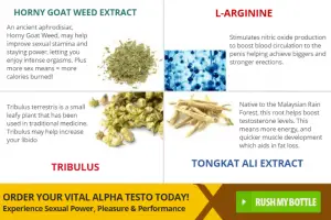 Vital Alpha Testo Ingredient