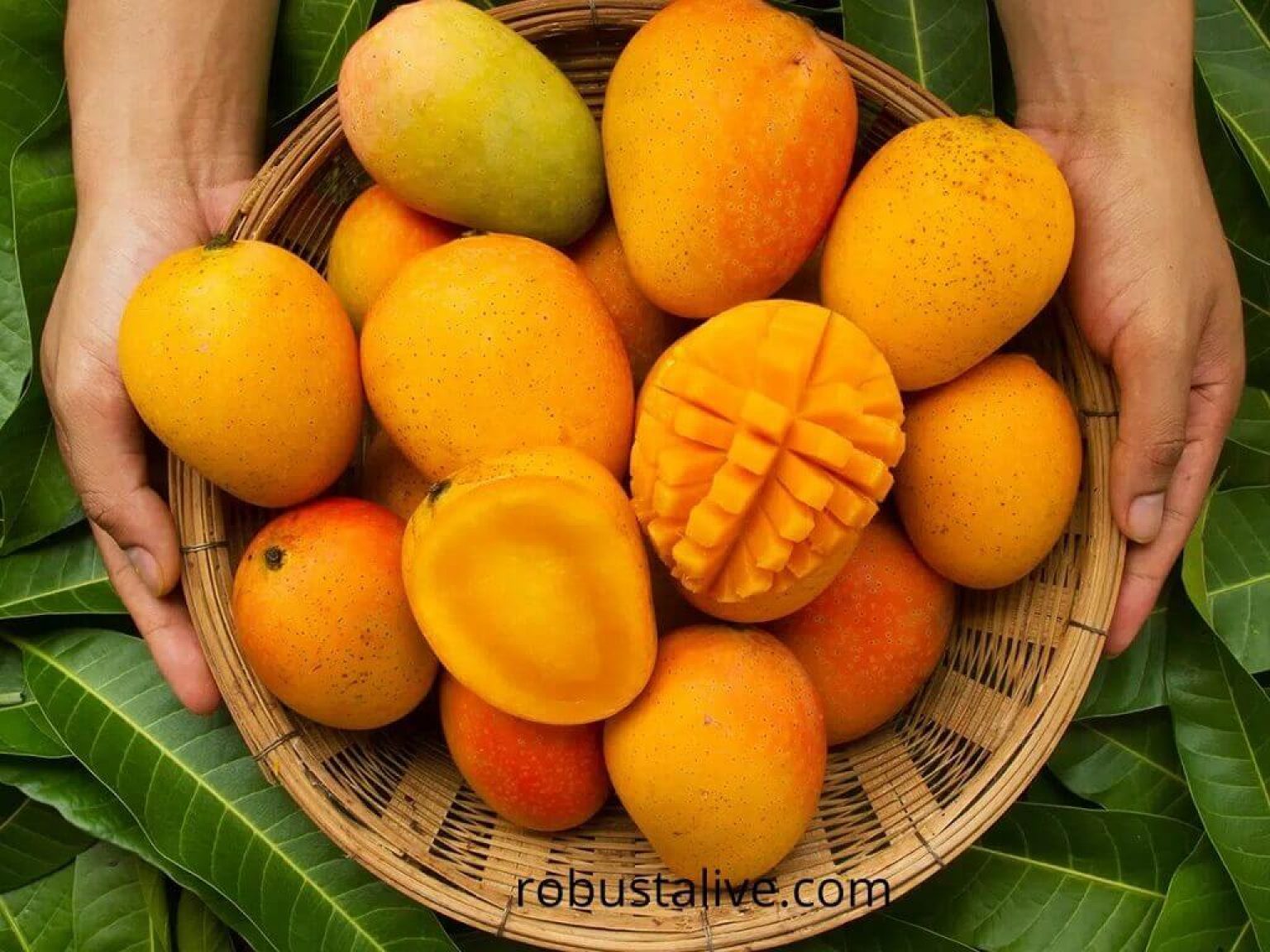 Are Mangoes Acidic? Know The Complete Details