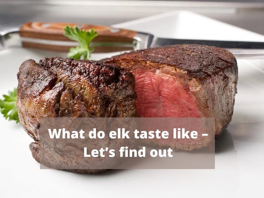 What Do Elk Taste Like