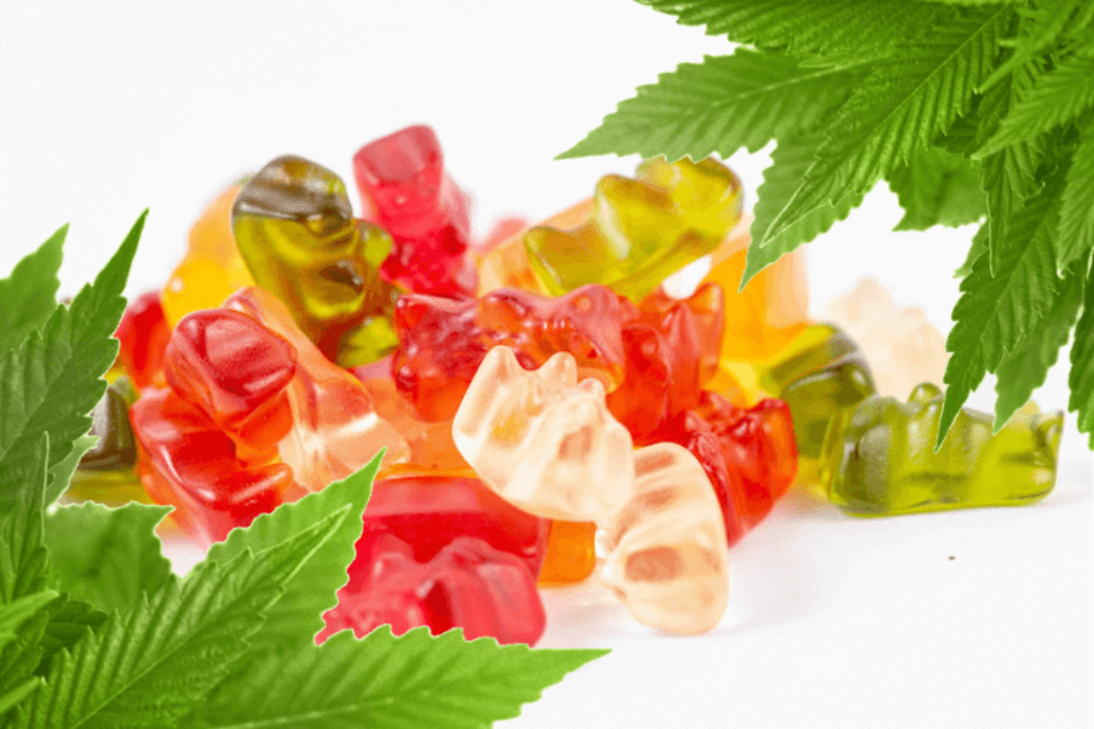 CBD Gummies and ED Are CBD Gummies Good for ED?