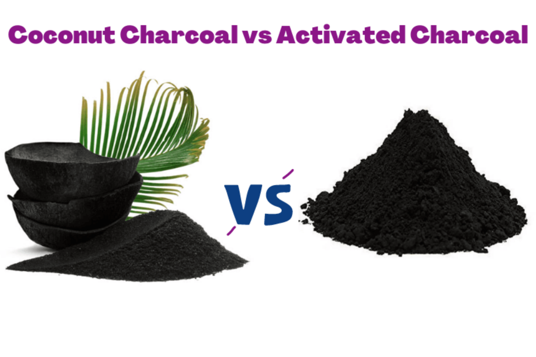 Coconut Charcoal vs Activated Charcoal Know The Difference