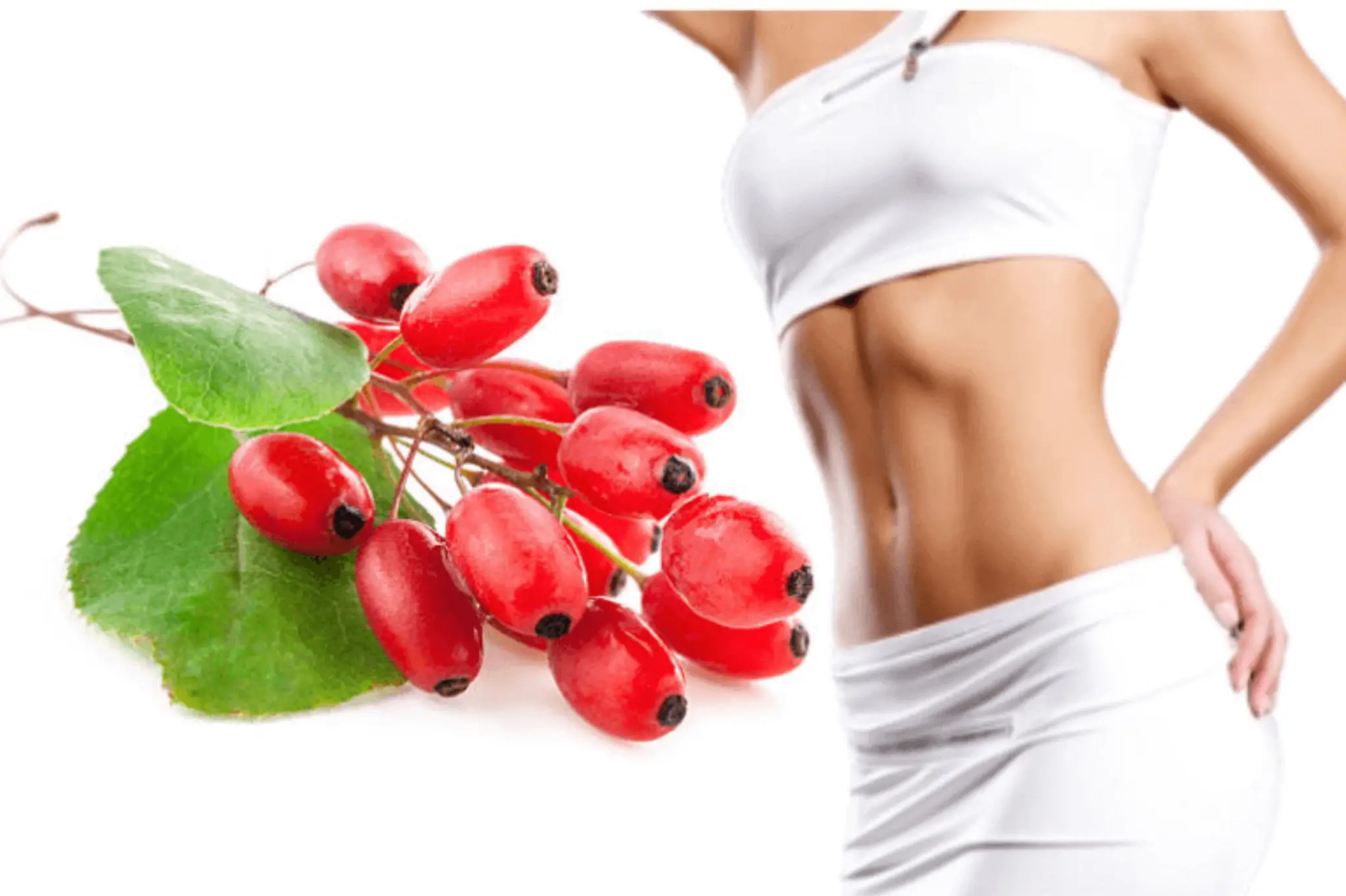 Berberine For Weight Loss 2048x1364 