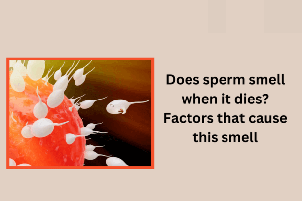 Does sperm smell when it dies?