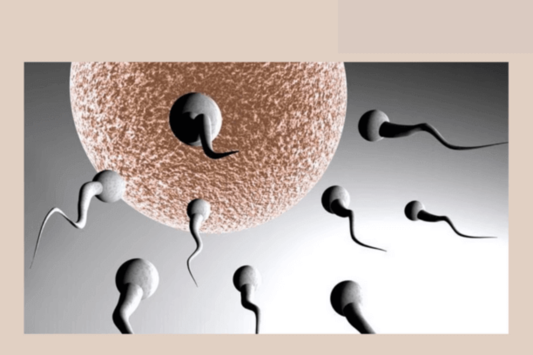 Does sperm smell when it dies? Factors that cause this smell