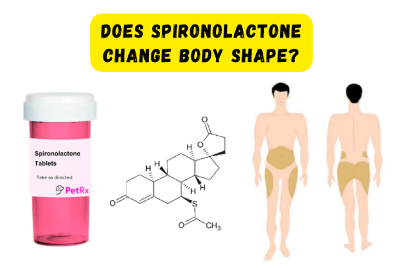 Spiro Body Does Spironolactone Change Body Shape? Here’s What You Should Know