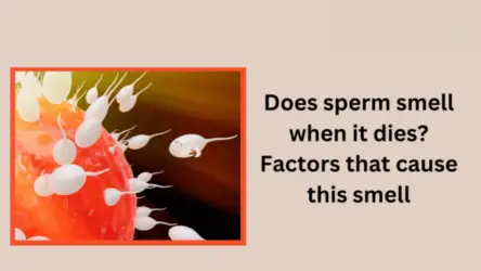 Does sperm smell when it dies? Factors that cause this smell