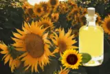 Is Sunflower Oil Bad For You?